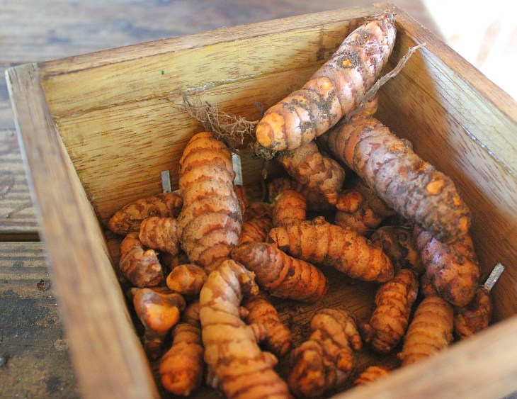 Three Sisters Farm Homestead, FL