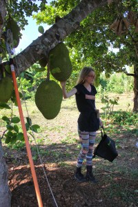 Three Sisters Farm Homestead, FL