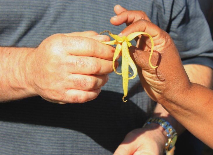 Three Sisters Farm Homestead, FL